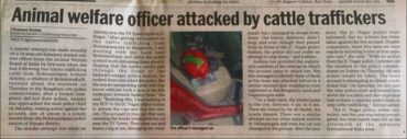 AWBI officer Joshine Antony and Activists attacked by cattle traffickers 10-Aug-2016